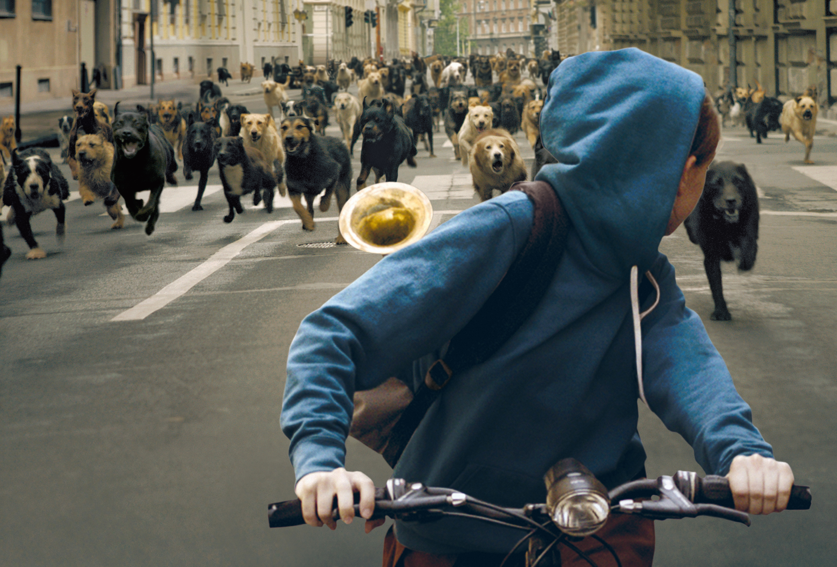 Zsófia Psotta stars in Magnolia Pictures' "White God"