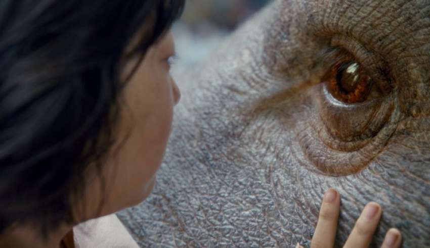 An Seo Hyun stars in Netflix's OKJA