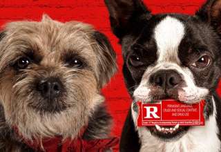 Universal Pictures' STRAYS