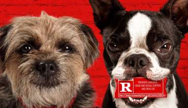 Universal Pictures' STRAYS